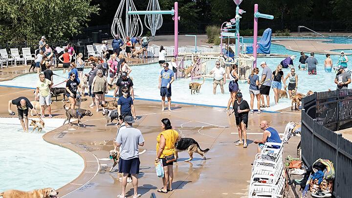 Arnold Pooch Plunge 2025